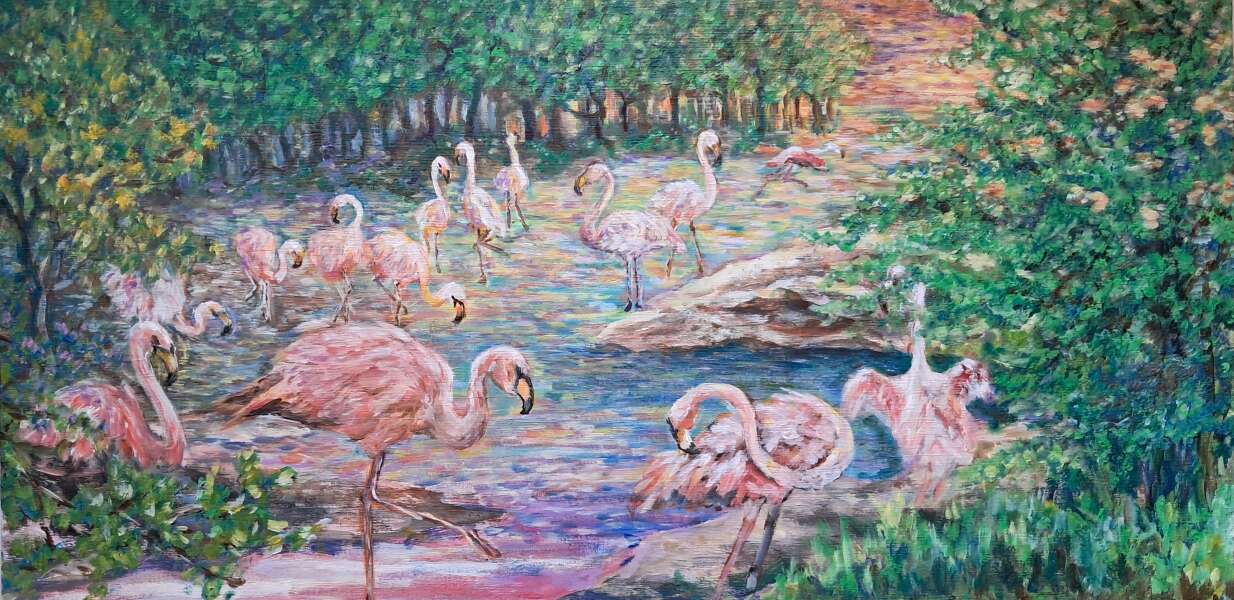 Flamingo Cove