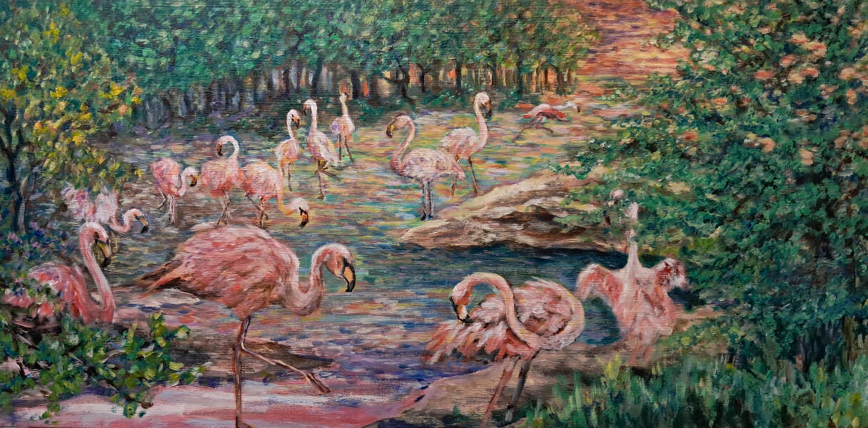 Flamingo Cove