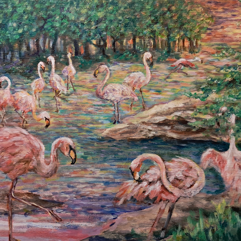 Flamingo Cove